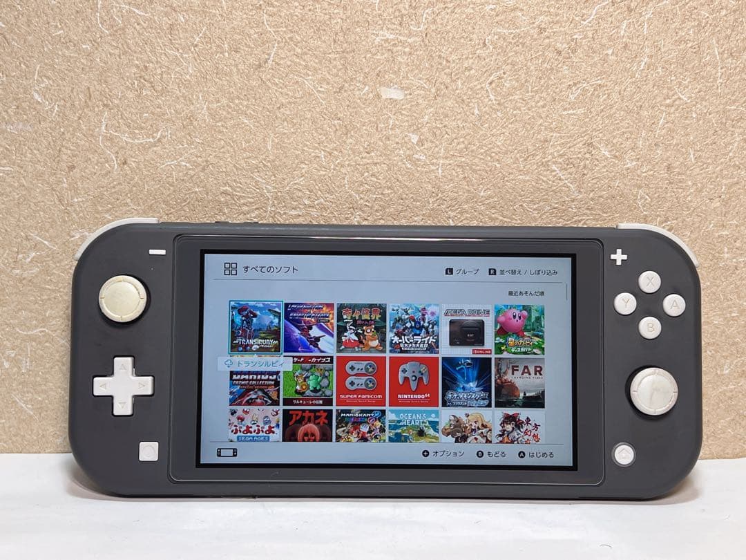 Nintendo Switch Lite HDH-001 携帯型ゲーム機