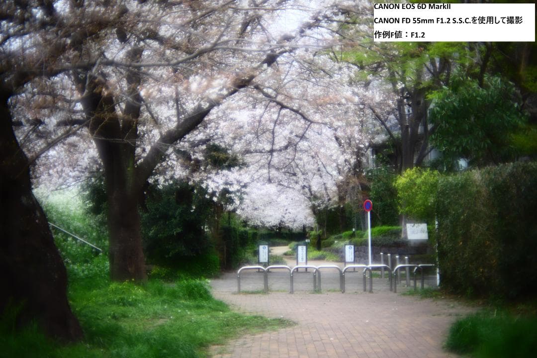 【動作OK】キヤノン CANON FD 55mm F1.2 S.S.C.