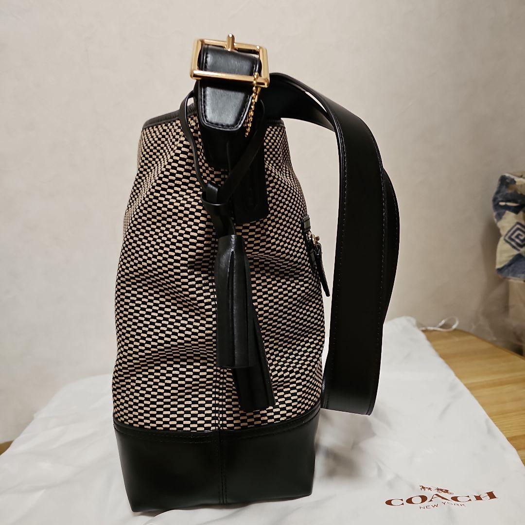 piamor19eternoCOACH メッシュレザーショルダーバッグ