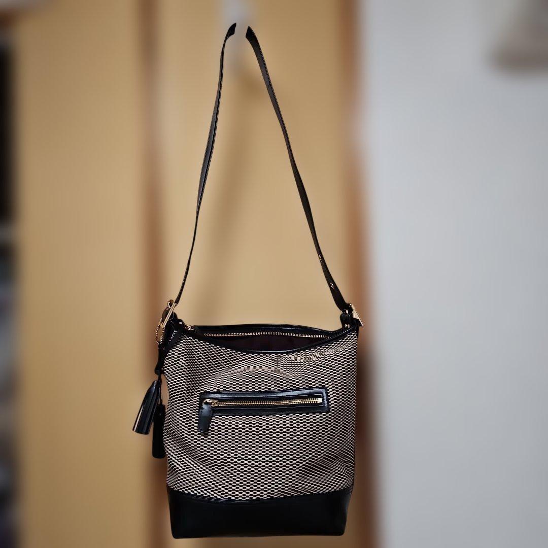 piamor19eternoCOACH メッシュレザーショルダーバッグ