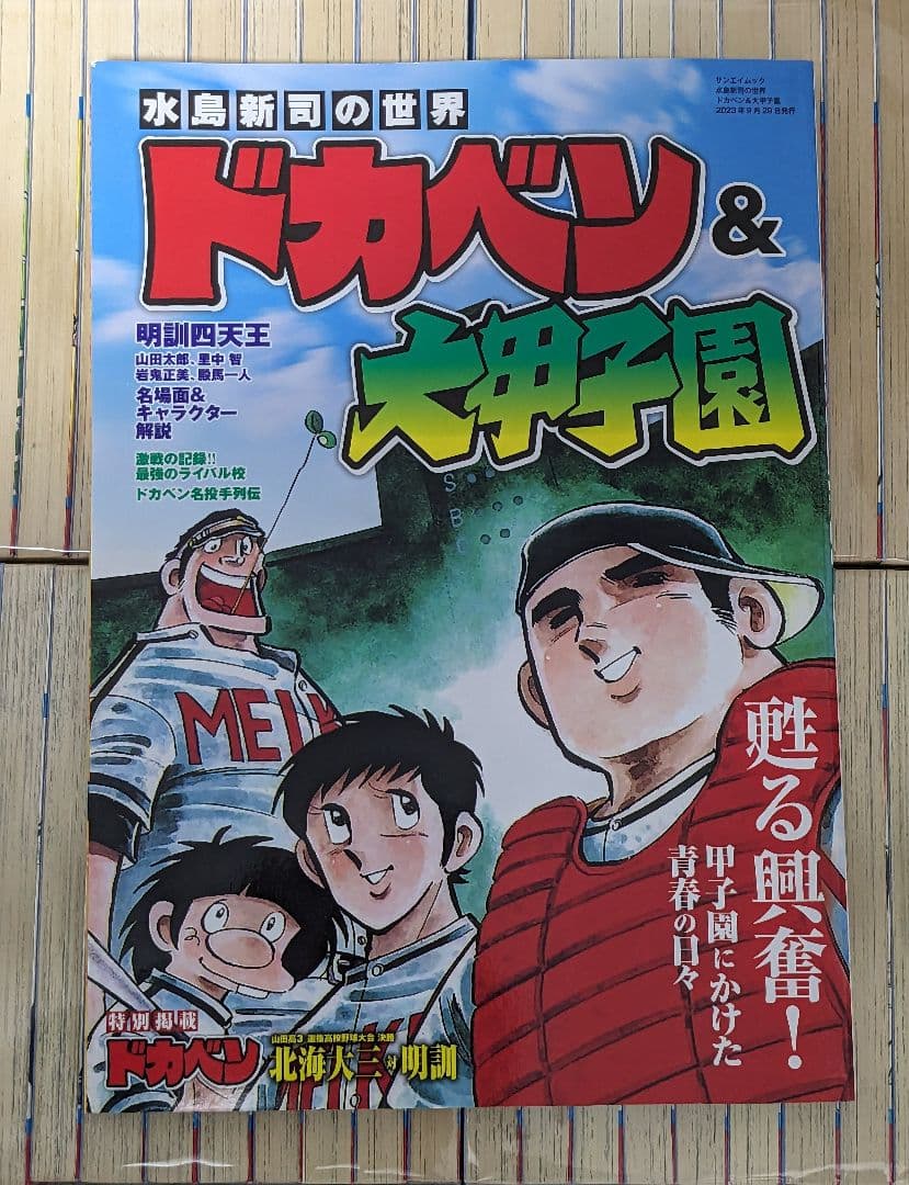◇ドカベン全巻 1〜48巻　＆おまけ水島新司の世界　ドカベン & 大甲子園　P8