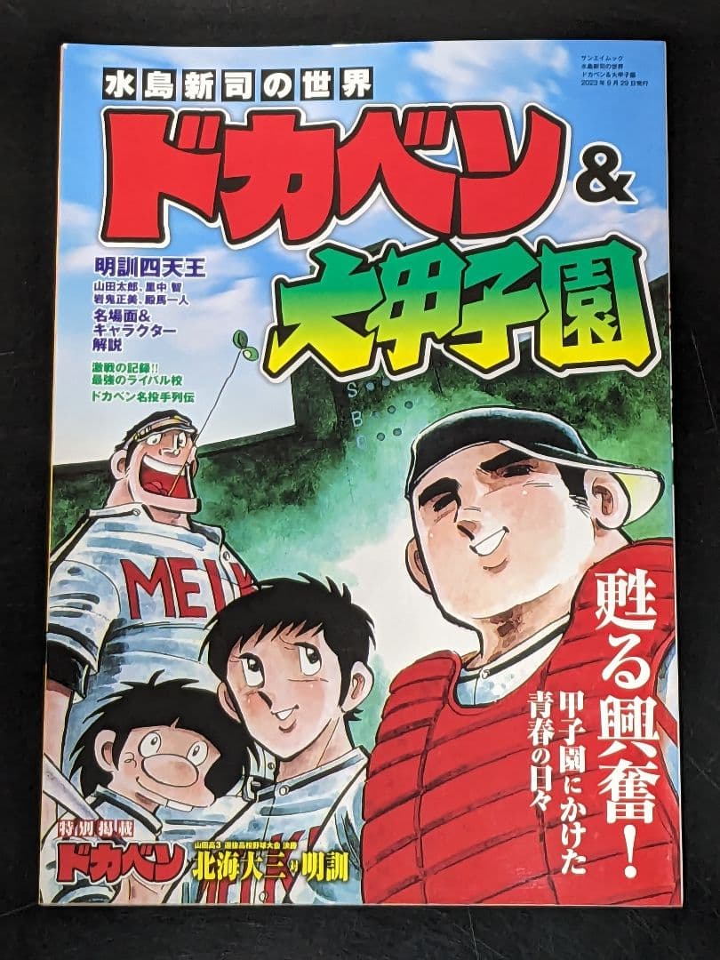 ◇ドカベン全巻 1〜48巻　＆おまけ水島新司の世界　ドカベン & 大甲子園　P8