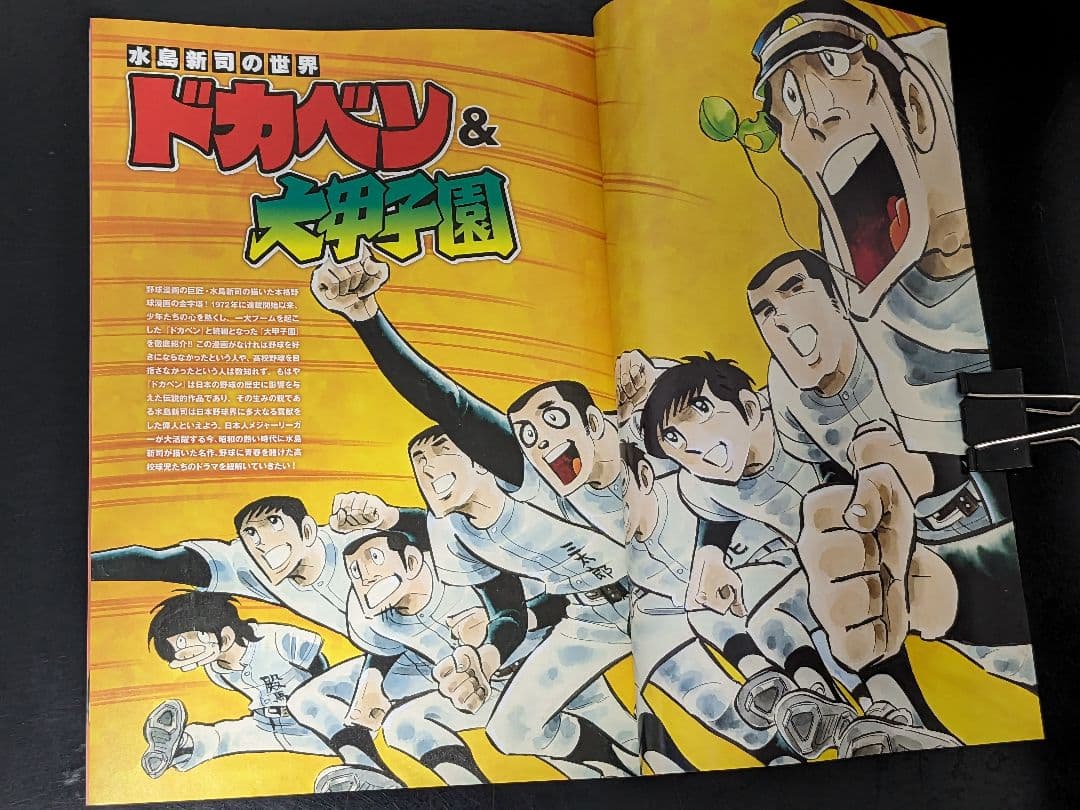 ◇ドカベン全巻 1〜48巻　＆おまけ水島新司の世界　ドカベン & 大甲子園　P8