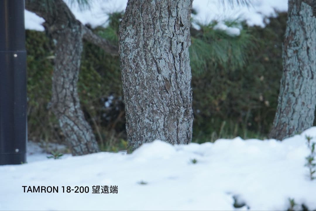 SONY Eマウント用 レンズ5種セット