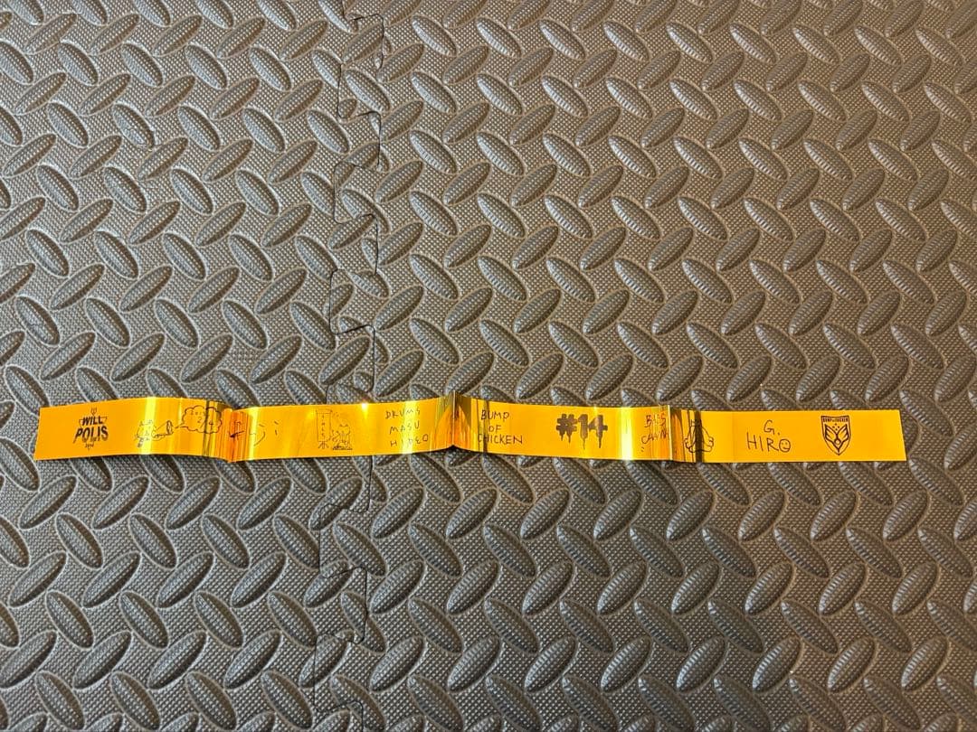 BUMP OF CHICKEN RAY時代グッズ多数付