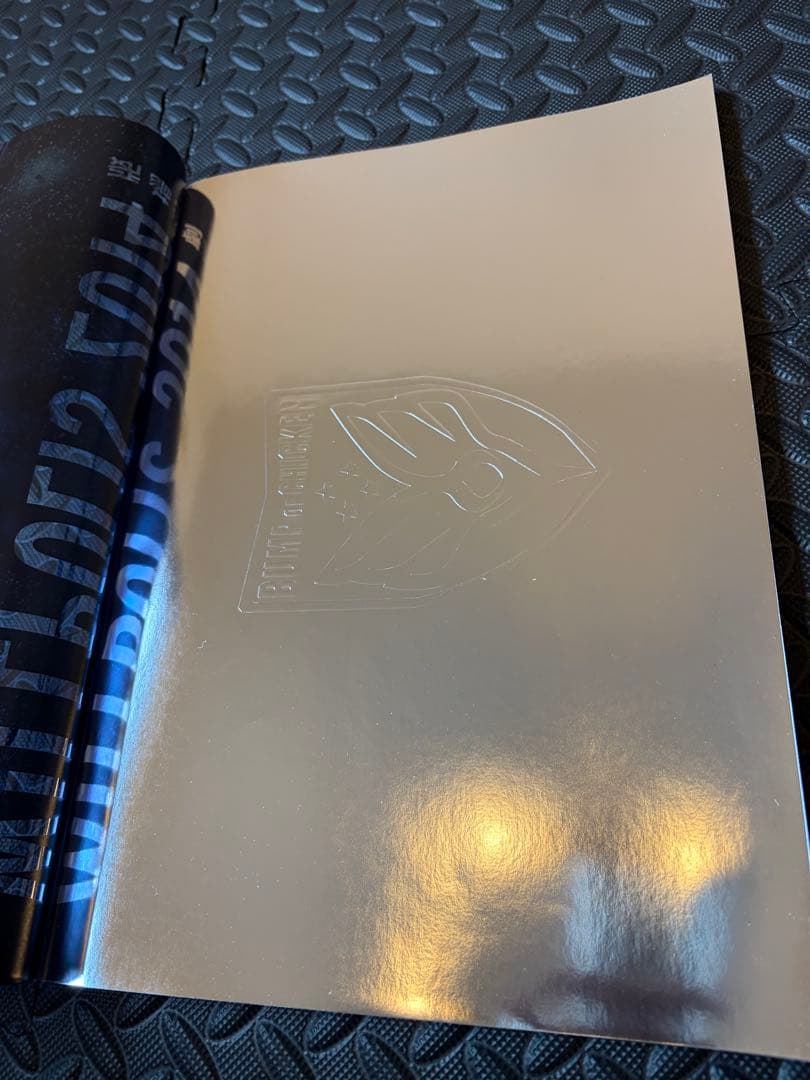 BUMP OF CHICKEN RAY時代グッズ多数付