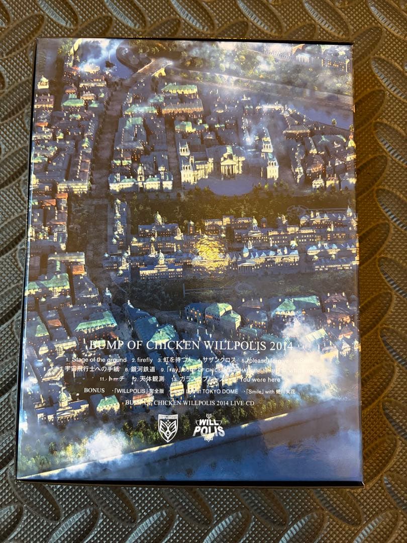 BUMP OF CHICKEN RAY時代グッズ多数付