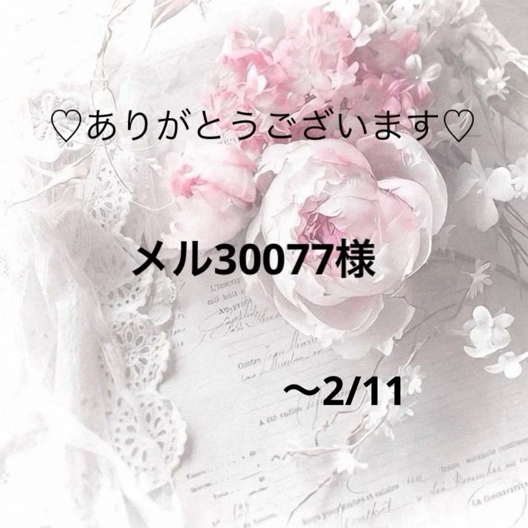 メル30077様　レジンヘアゴム ポニーフック　ドライフラワー