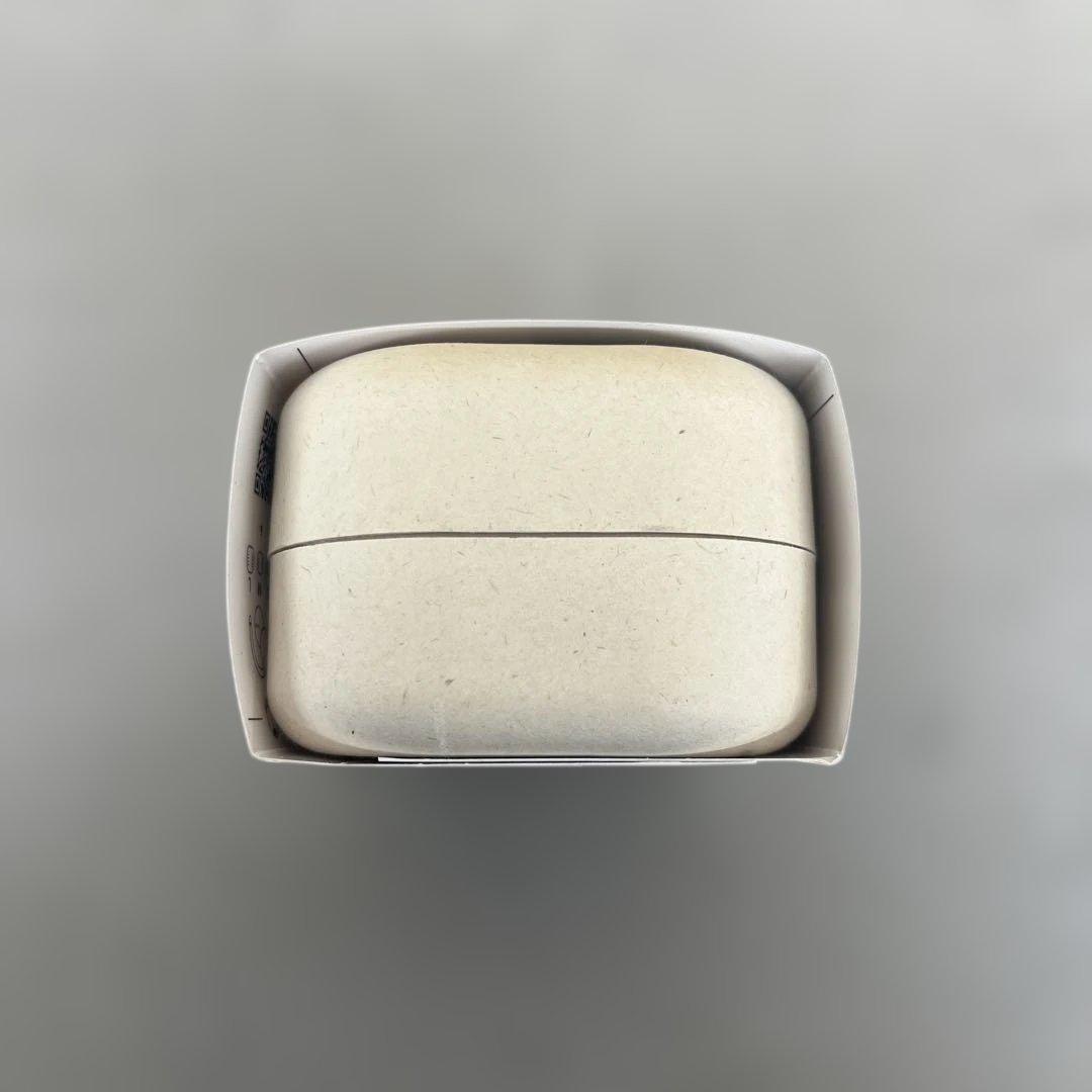 601355 nwm オープンイヤー型 完全ワイヤレス 耳スピーカー