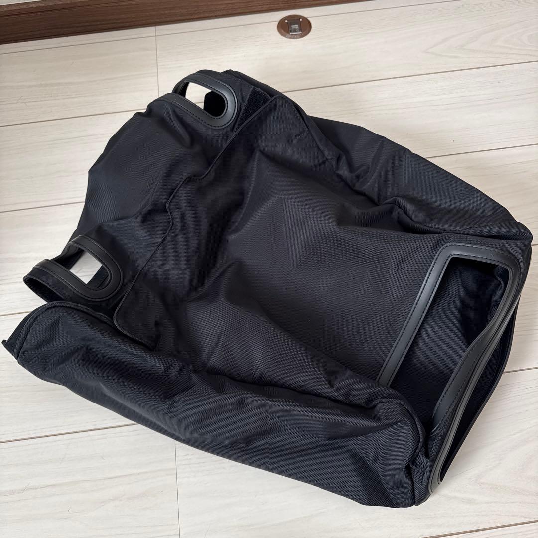 ルイヴィトン　タイガ　ペガス　45 キャリーケース　機内持ち込みサイズ　正規品