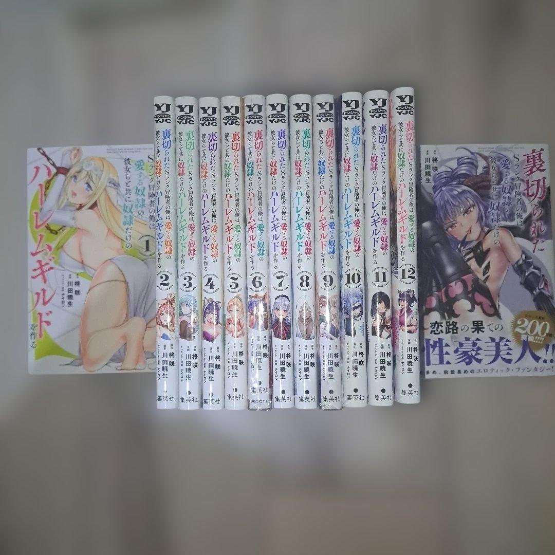 裏切られたSランク冒険者の俺は、愛する奴隷の彼女らと共に奴隷だけ1~13巻セット