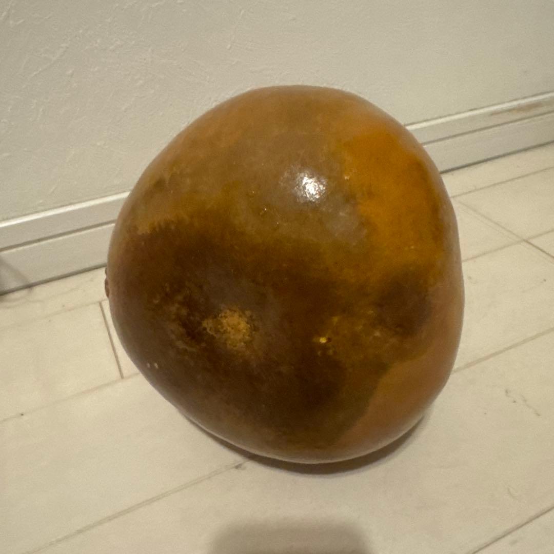 【美品】フラダンス用　楽器　イプ　Mサイズ