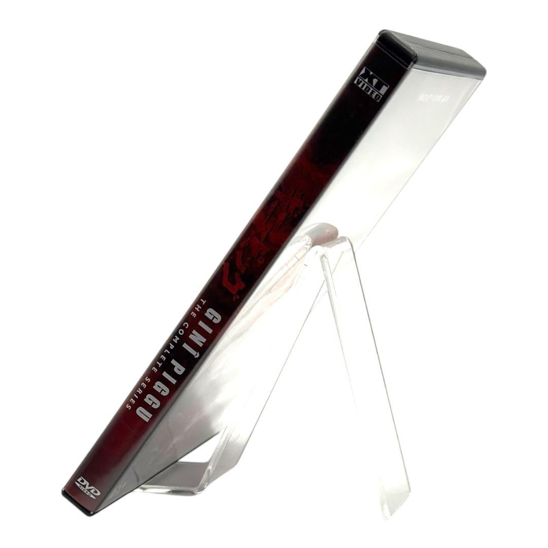 ギニーピッグ GINI PIGGU 完全版 DVDボックス