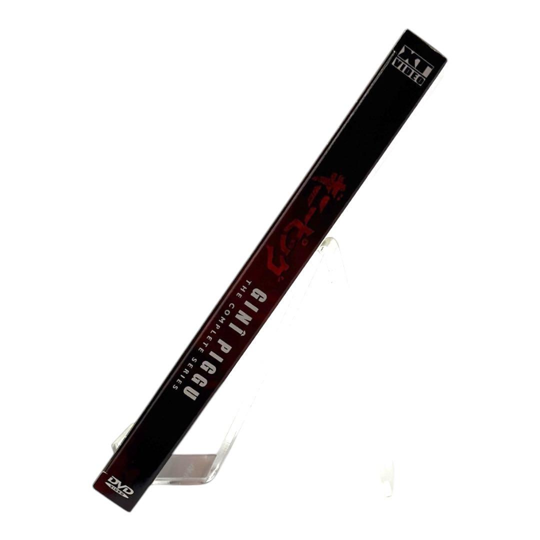 ギニーピッグ GINI PIGGU 完全版 DVDボックス