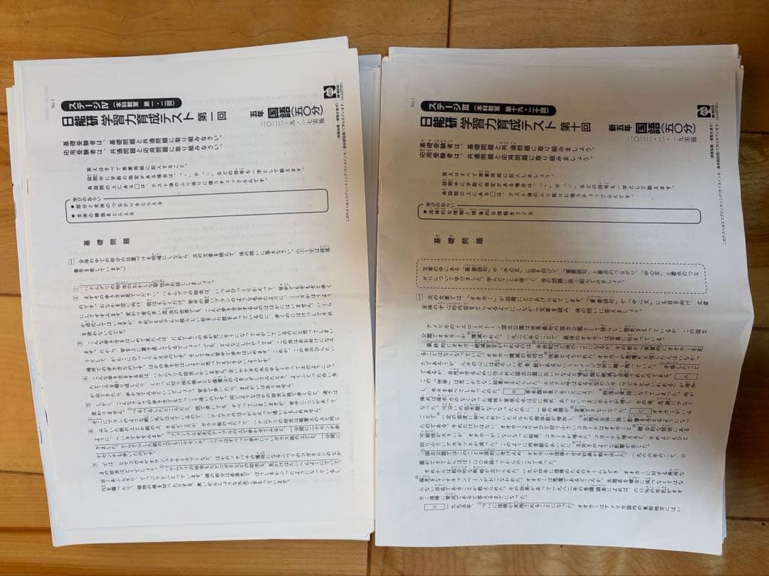 日能研　学習力育成テスト 5年　2022年　通年分