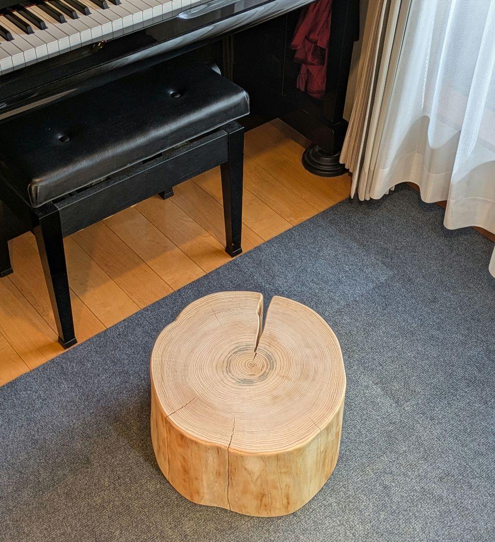 檜　切り株　丸太　椅子　スツール　 テーブル　高さ約22.5㎝