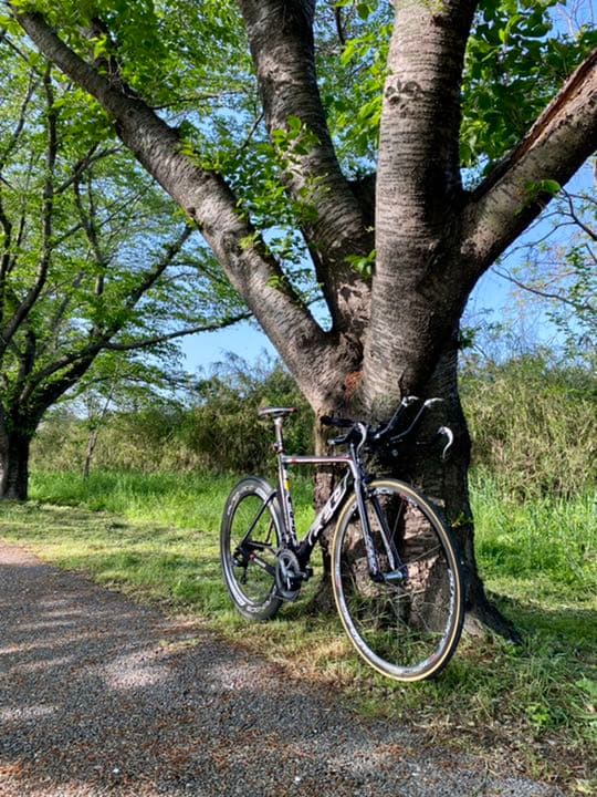 TTバイク　FELT フルカーボントライアスロンバイク　フレームセット