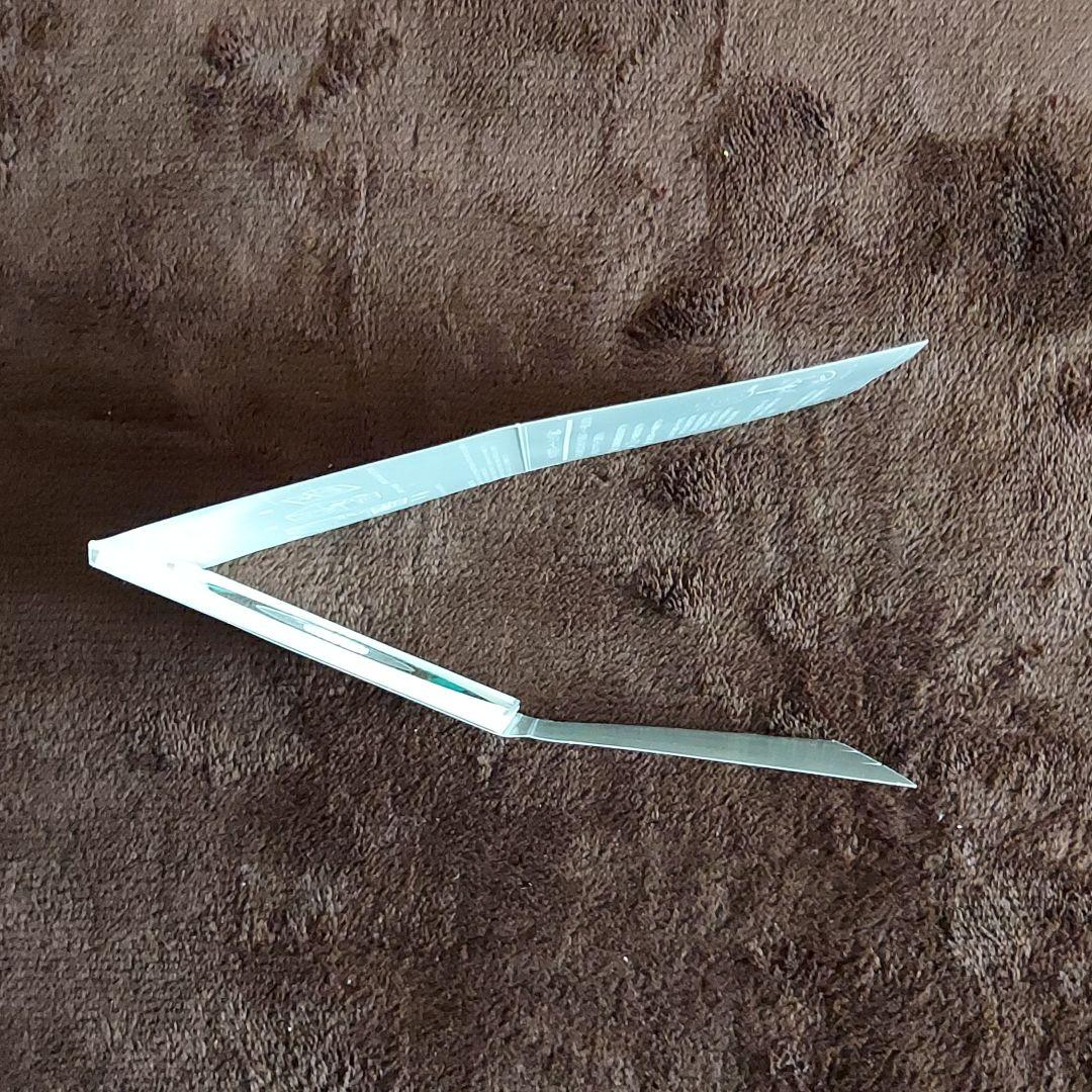 中山忍　夏に恋するAWATENBO