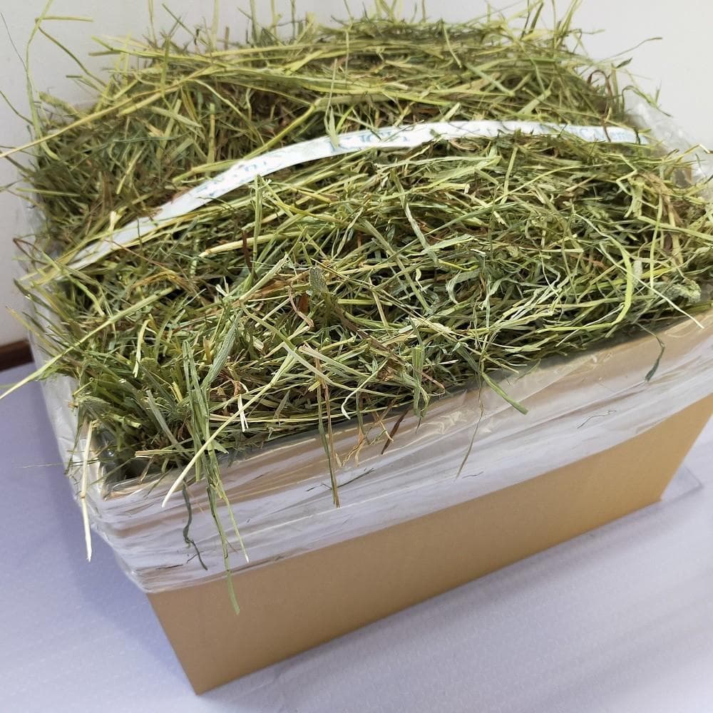 【5/31まで】US産 チモシー 60kg ２番刈 ソフトSプレミアム