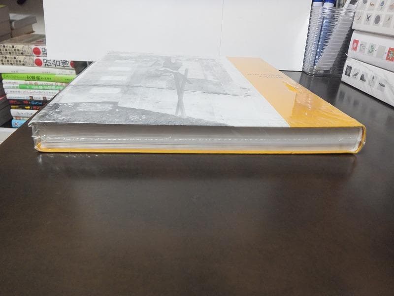 ブリンキー・パレルモ　Blinky Palermo /未開封洋書!