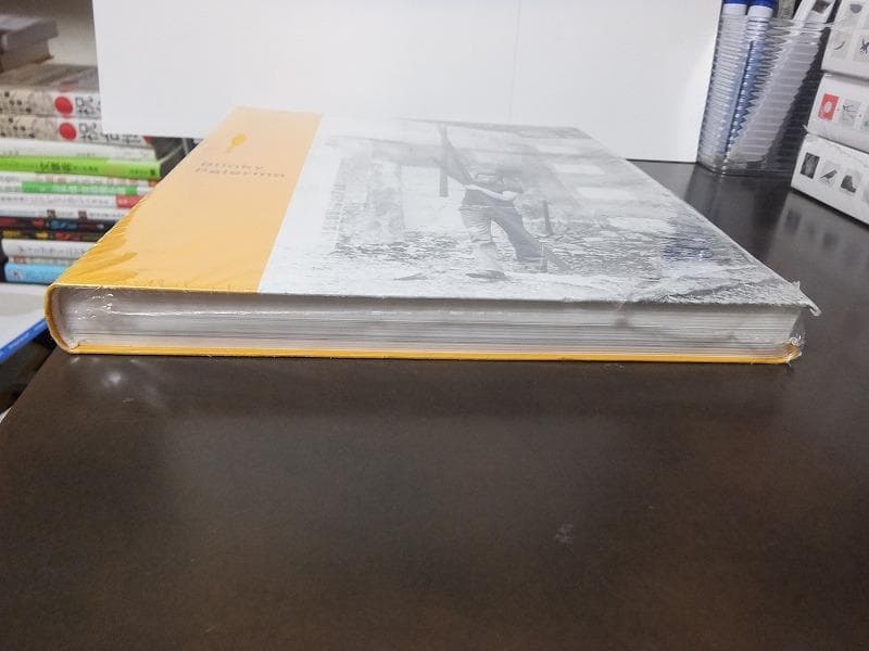 ブリンキー・パレルモ　Blinky Palermo /未開封洋書!