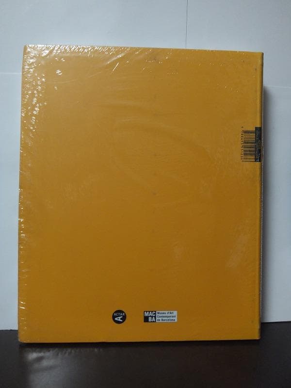 ブリンキー・パレルモ　Blinky Palermo /未開封洋書!