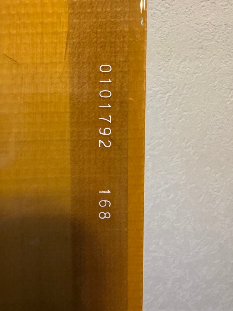 原点スノーボードTT2010モデル