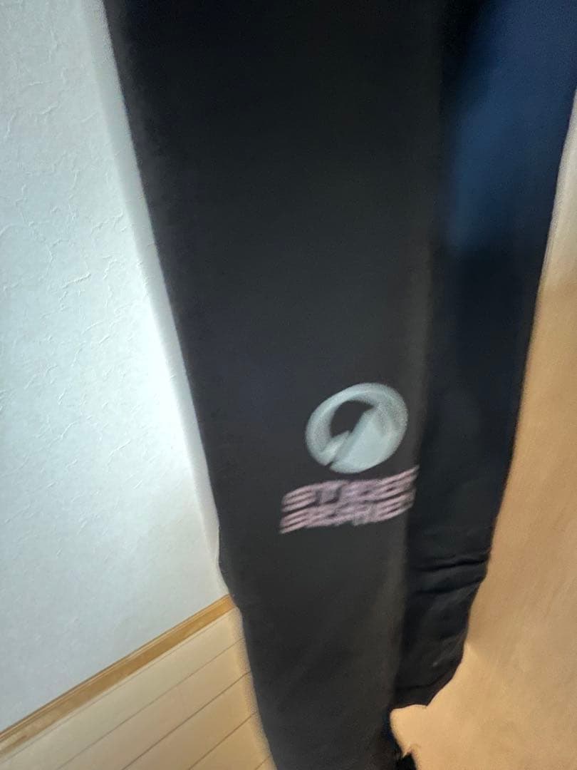 大幅値下げ✨THE NORTH FACE RTG ビブパンツ