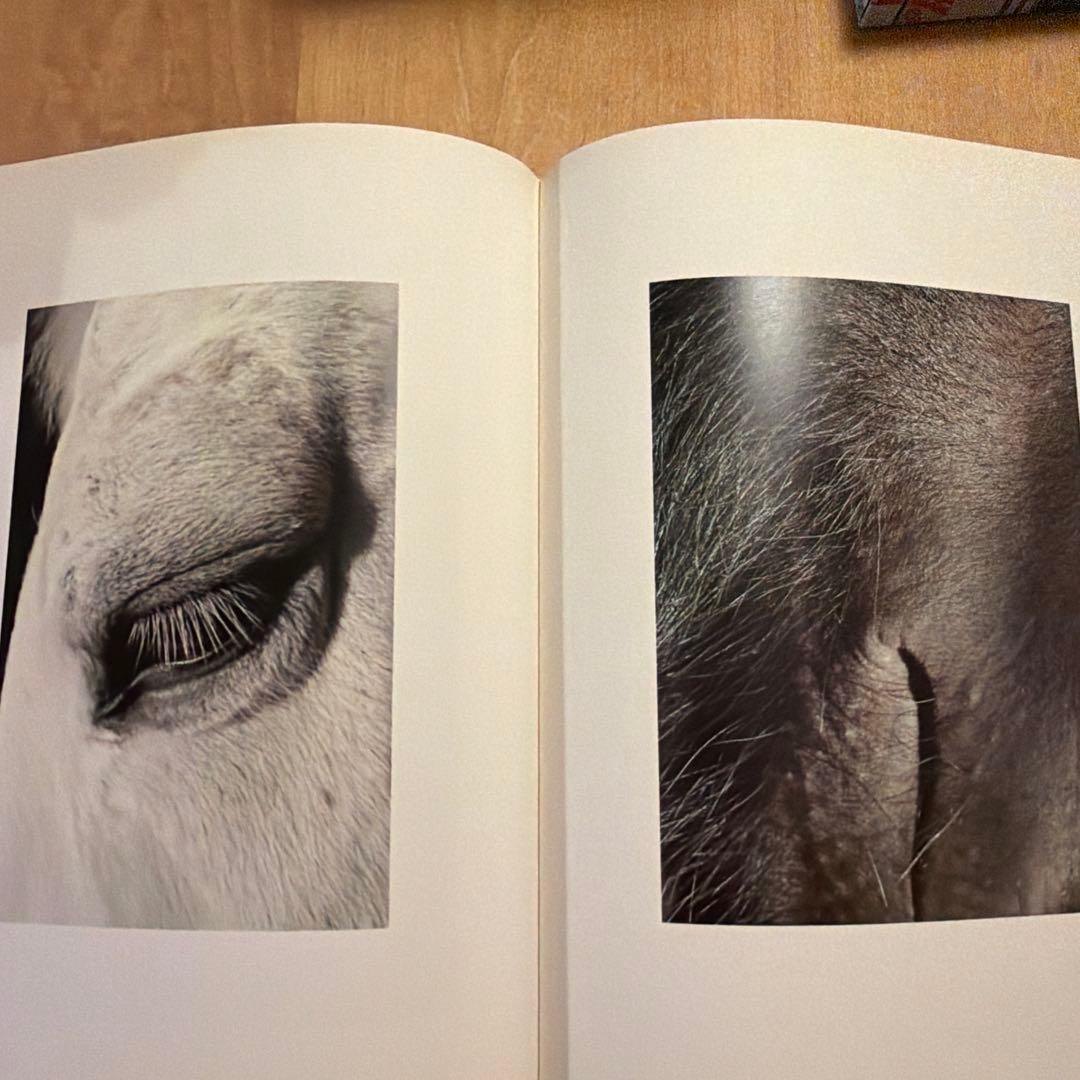 写真集　Horse Jikta Hanzlová