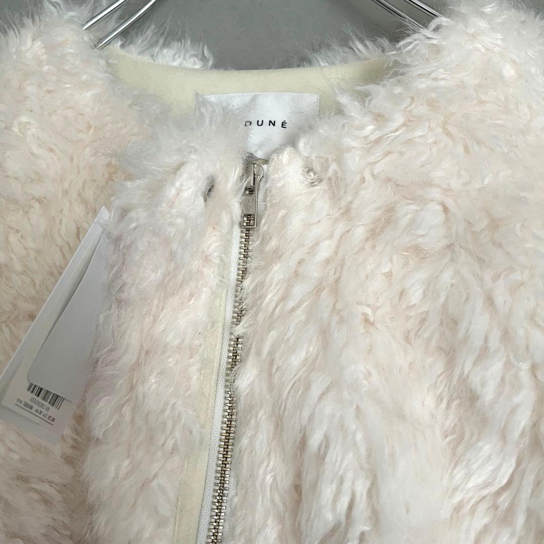 新品タグ付き⭐︎CADUNE カデュネ　ボアブルゾン　川上桃子　ファー　36