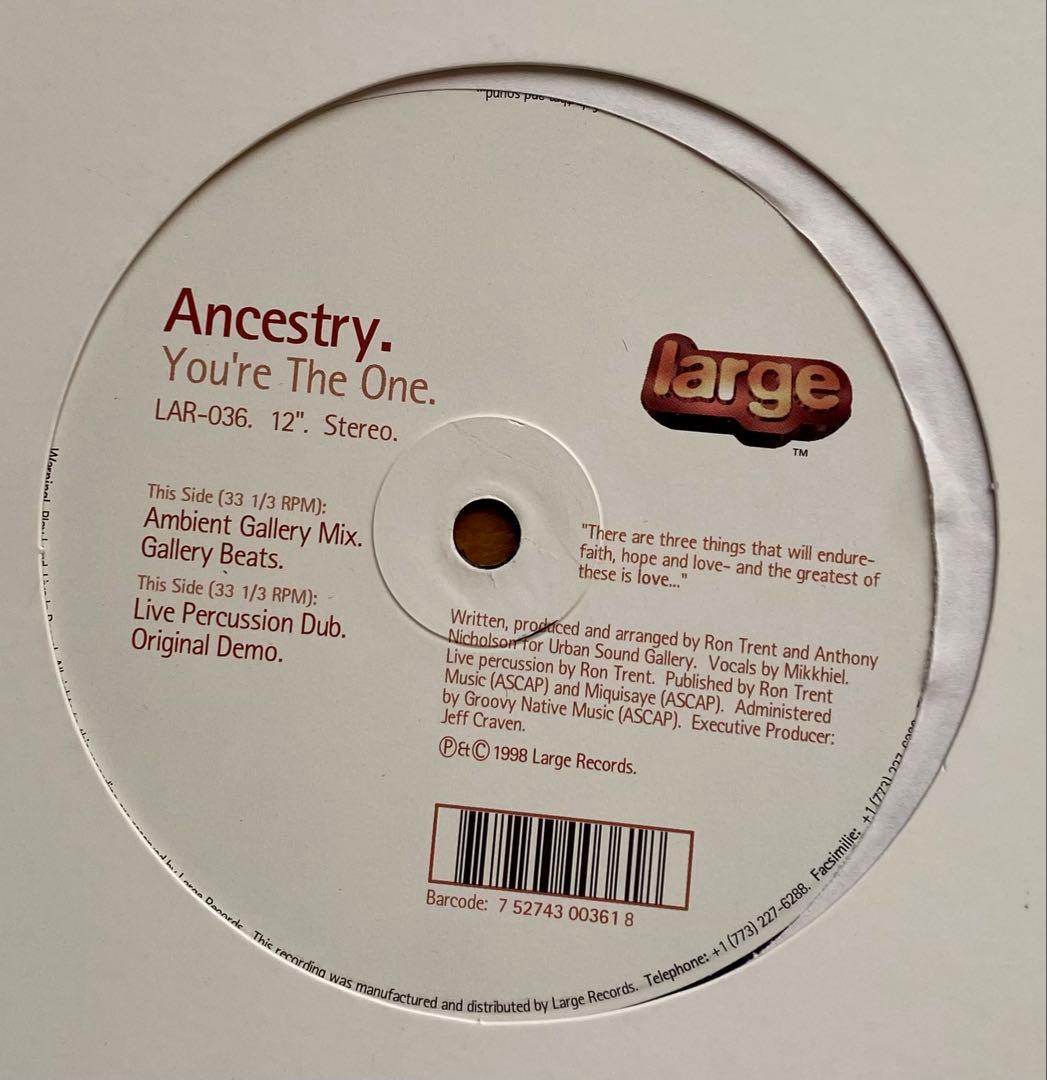 洋楽 Ancestry.-You're The One
