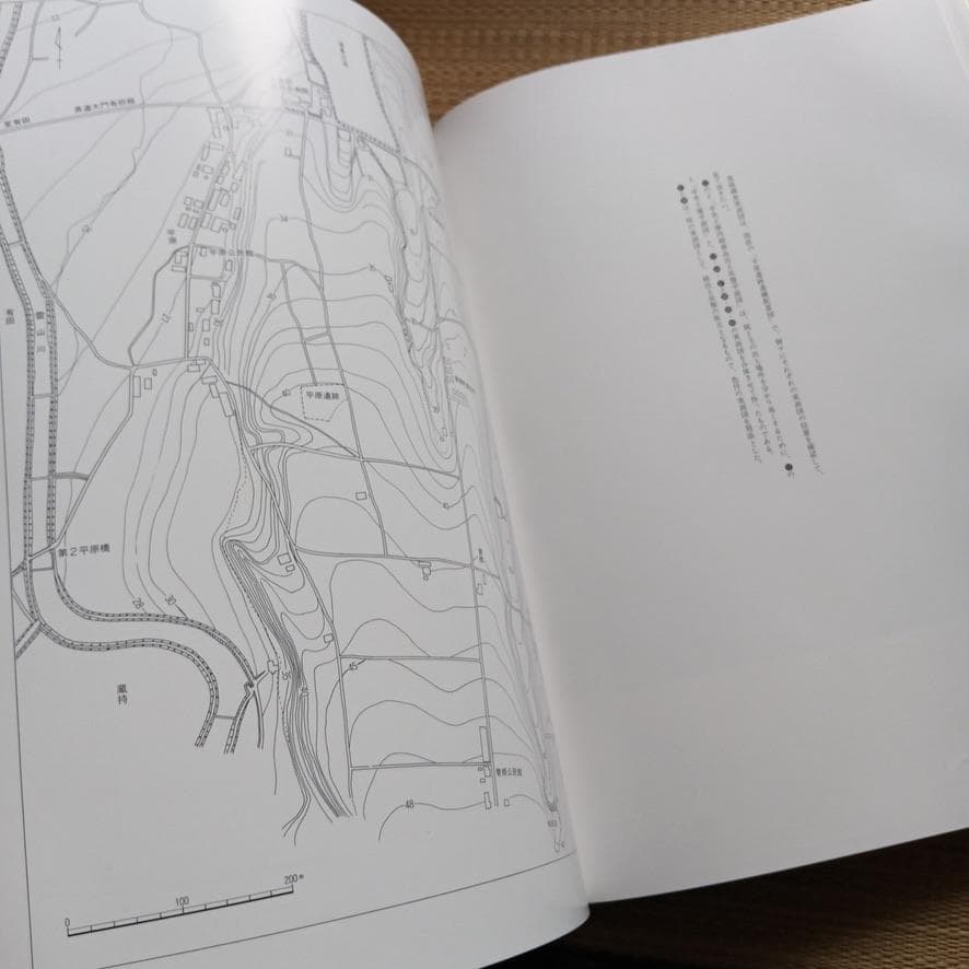 平原弥生古墳　大日霎貴の墓　上下セット　考古学　資料　希少歴史