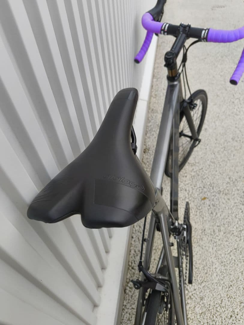 自転車本体 Tern Surge