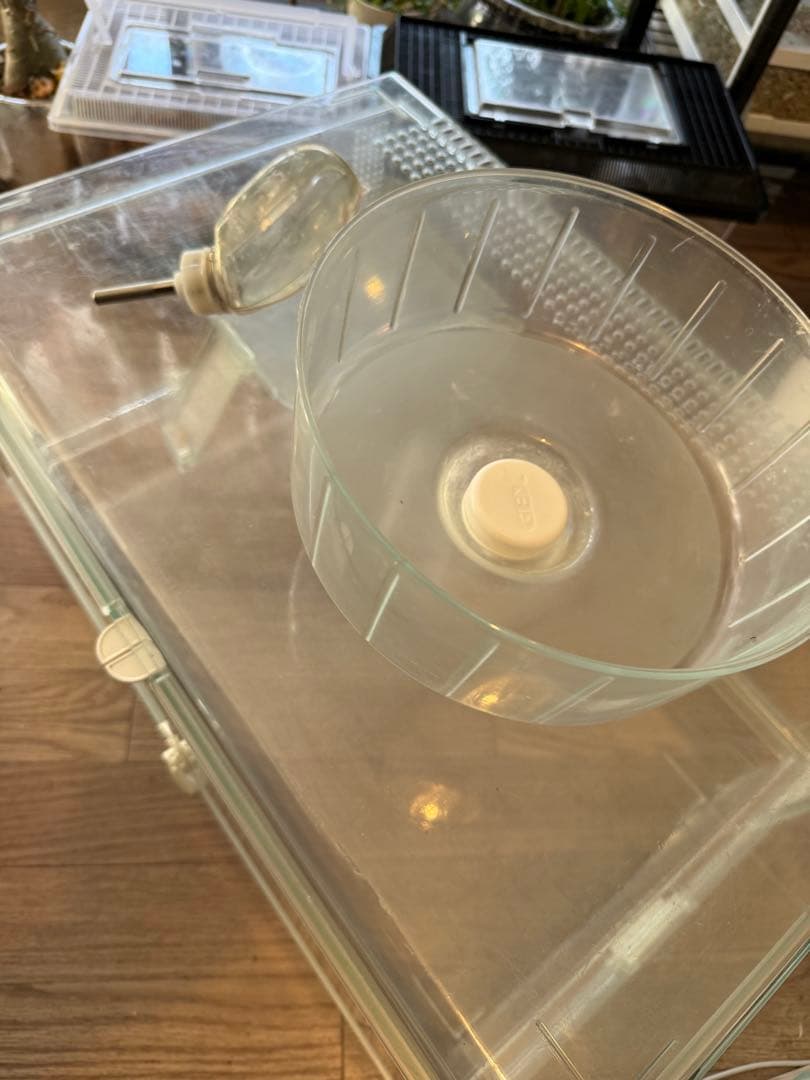 GEX グラスハーモニー600＋ステージ