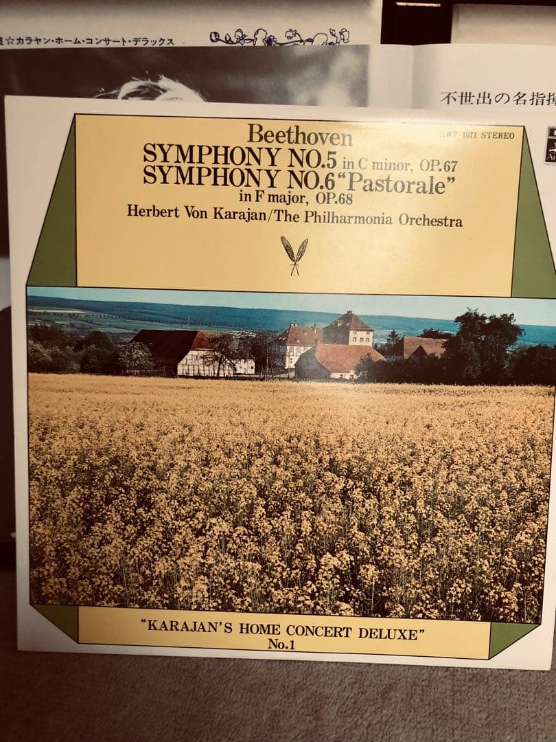 再値下げ中、東芝EMI 華麗なるカラヤン名曲の世界　LP10枚セット