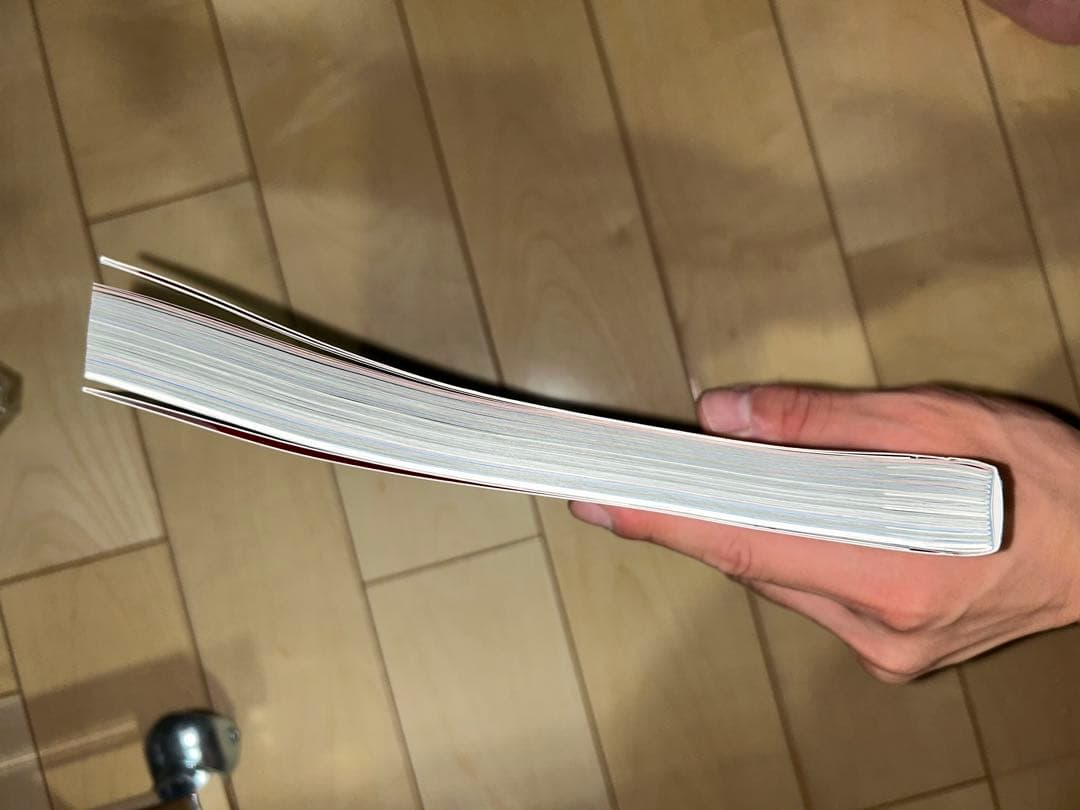 グレッグ・ジラード Greg GIRARD JAL 76 88