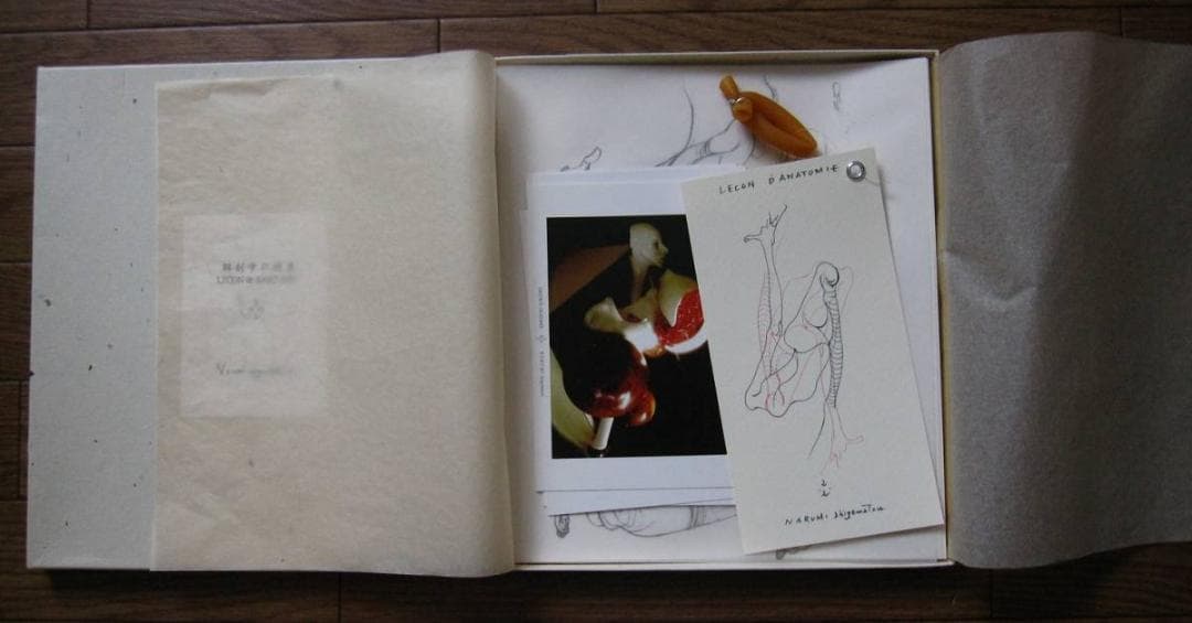 解剖学の授業 Lecon de Anatomie　重松成美