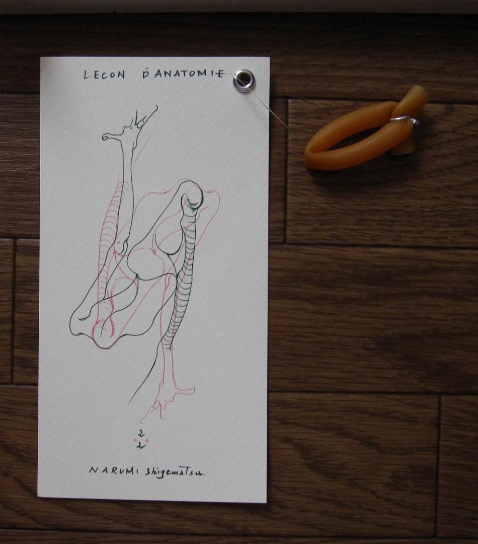 解剖学の授業 Lecon de Anatomie　重松成美