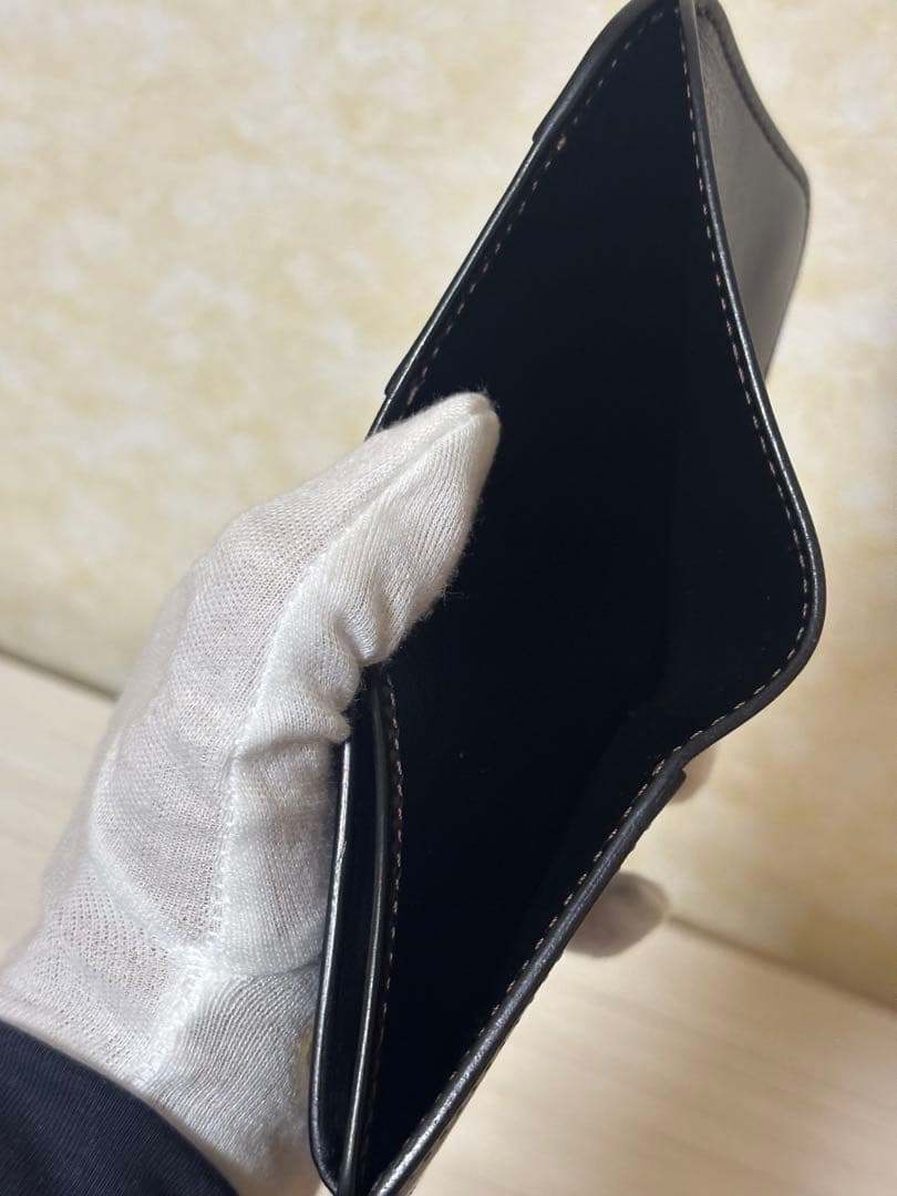 【ワイルドスワンズ】PALM-V2 フルグレインブライドルレザー ブラック