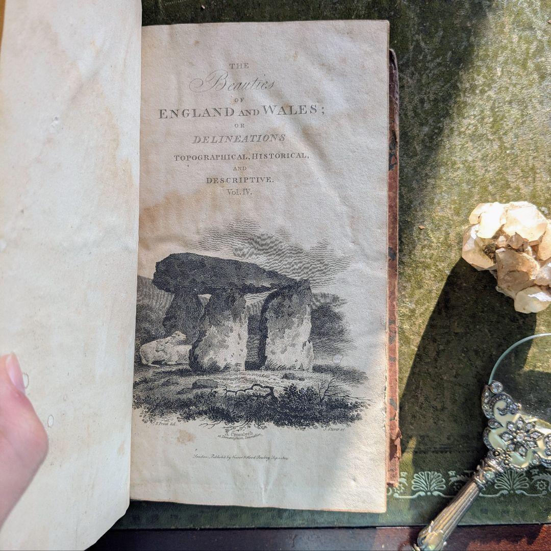 まるで貴族の書斎に飾られていたような、重厚なアンティーク本セット♪古書洋書