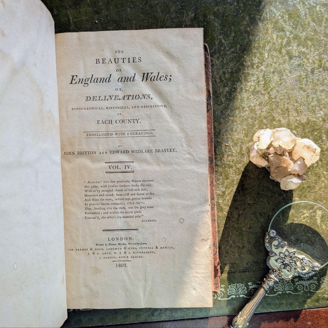 まるで貴族の書斎に飾られていたような、重厚なアンティーク本セット♪古書洋書