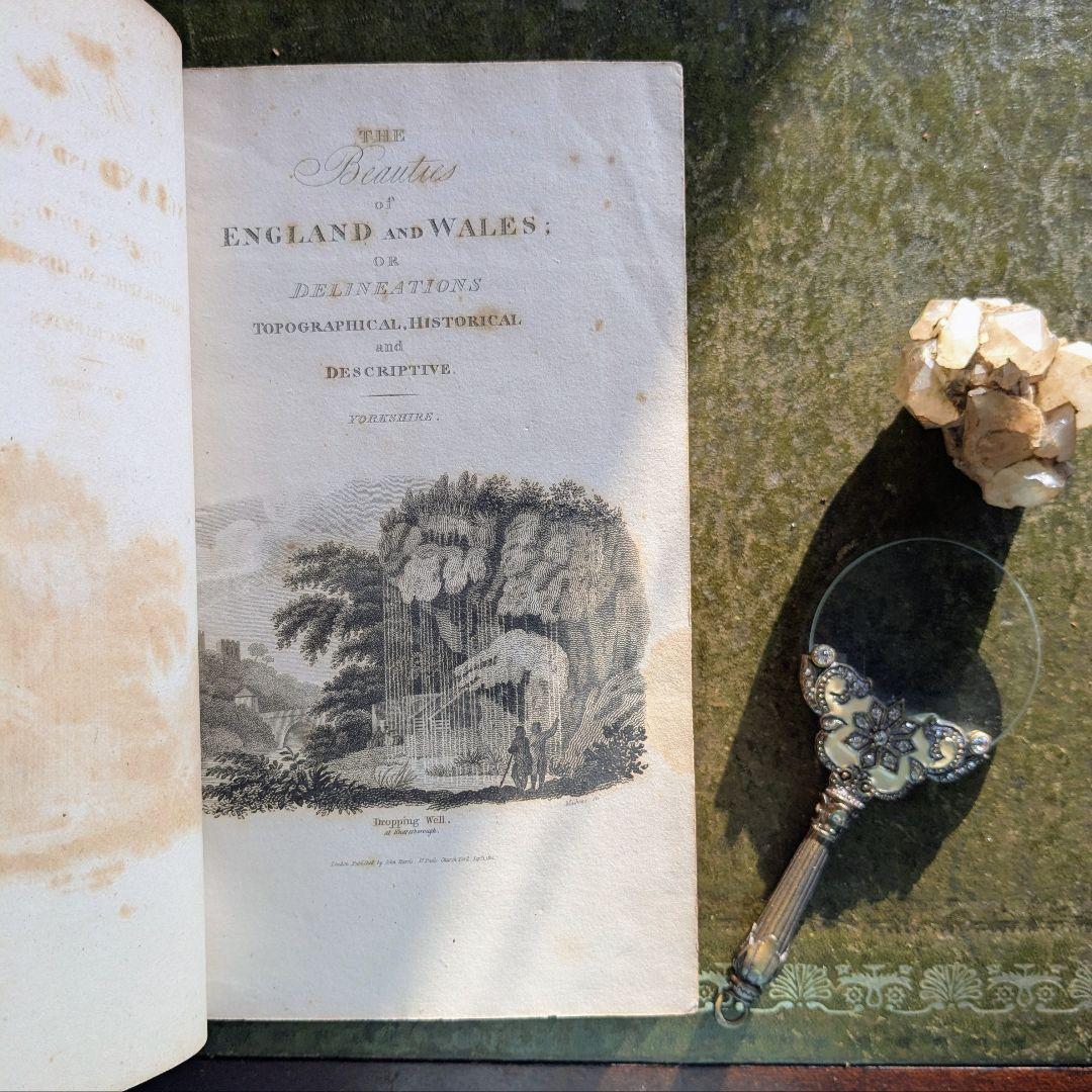 まるで貴族の書斎に飾られていたような、重厚なアンティーク本セット♪古書洋書