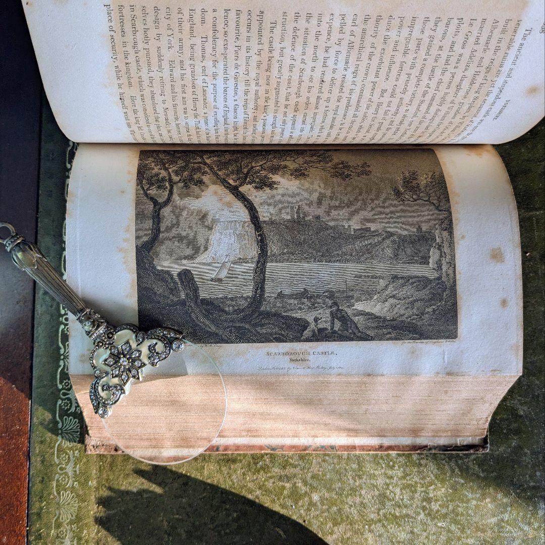 まるで貴族の書斎に飾られていたような、重厚なアンティーク本セット♪古書洋書