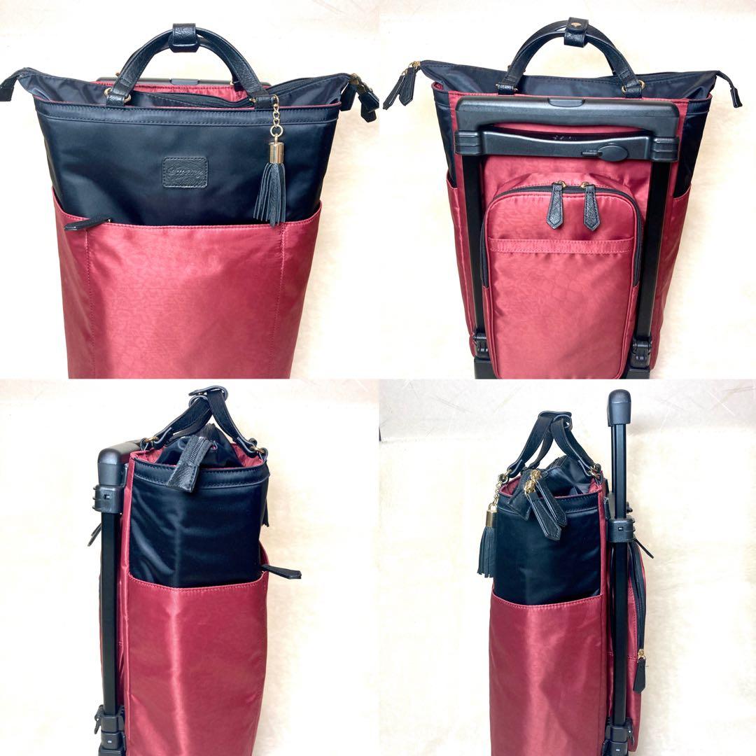 【マミーですけど】SWANY ショッピングカート スワニー バッグ 大容量