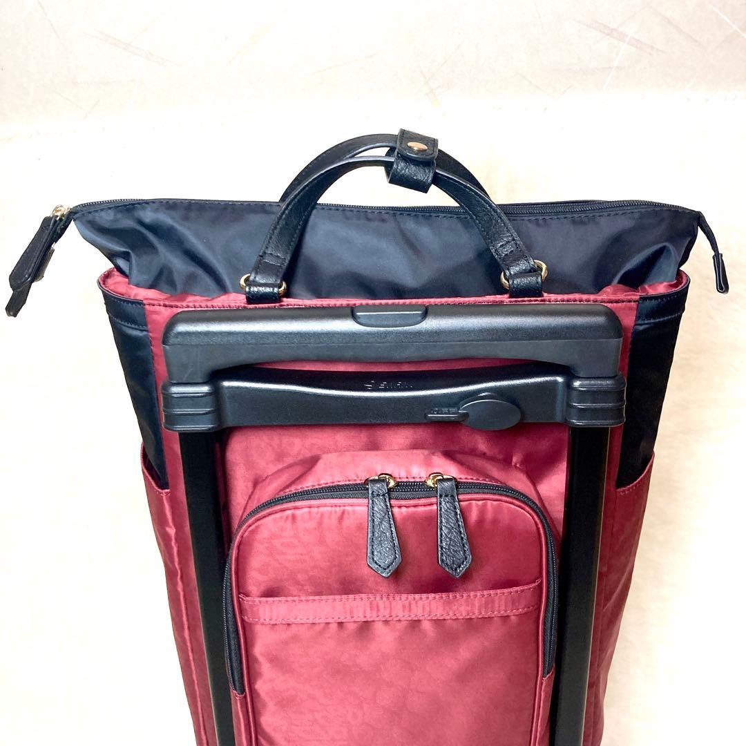 【マミーですけど】SWANY ショッピングカート スワニー バッグ 大容量