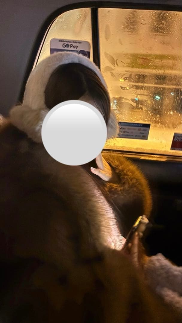 【美品】ZARA ブラウン ファーショートジャケット 高級感 2025年購入