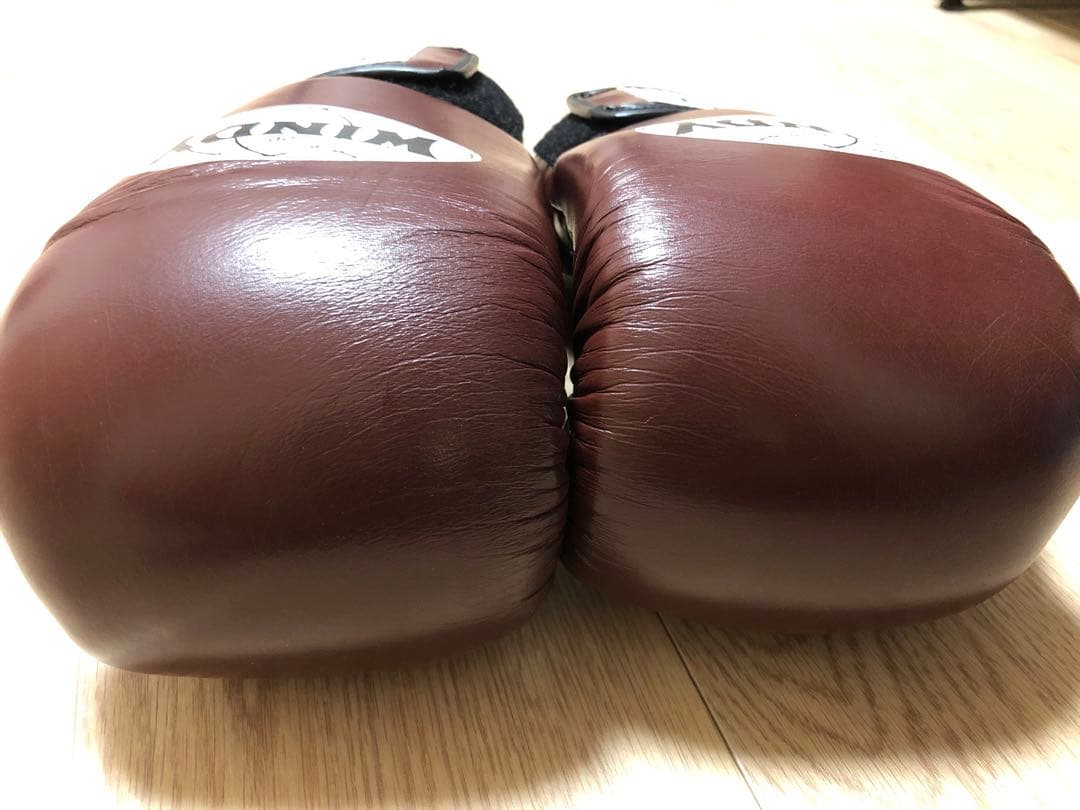 WINDY ボクシンググローブ 14 OZ BGVH