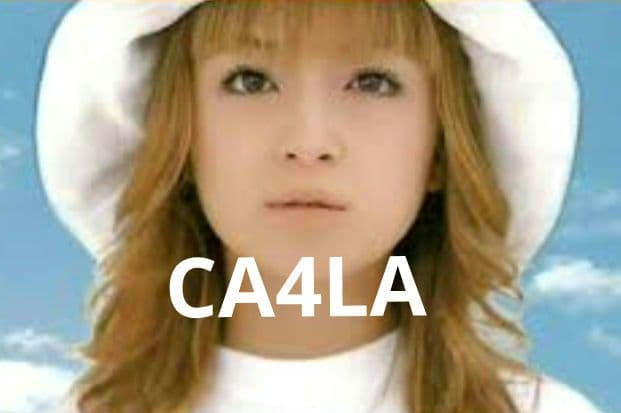 入手困難 CA4LA 浜崎あゆみ SEASONS 着用 チューリップ ハット