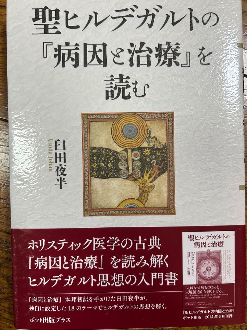 聖ヒルデガルトの医学と自然学、病因と治療