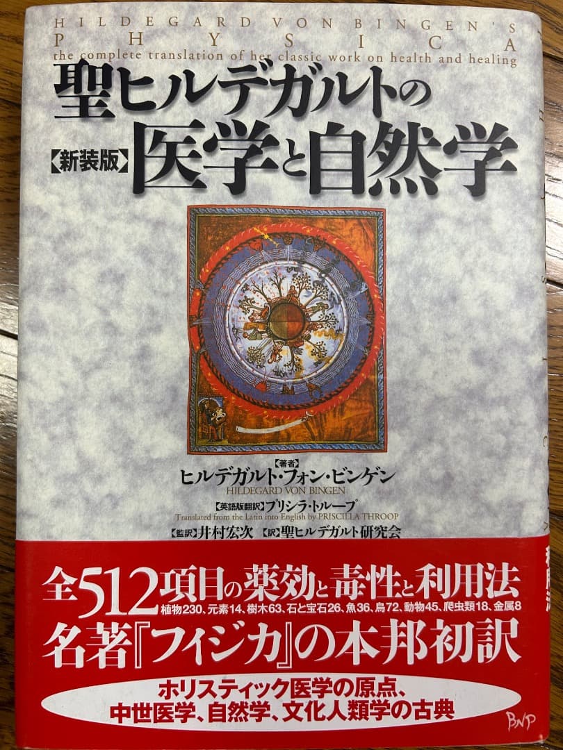 聖ヒルデガルトの医学と自然学、病因と治療